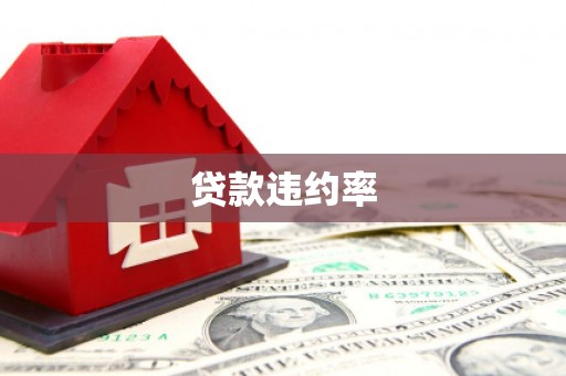 康县贷款违约率