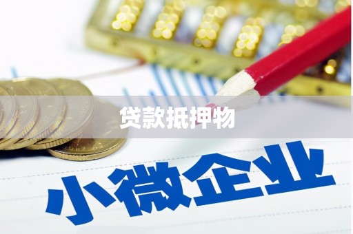 康县贷款抵押物