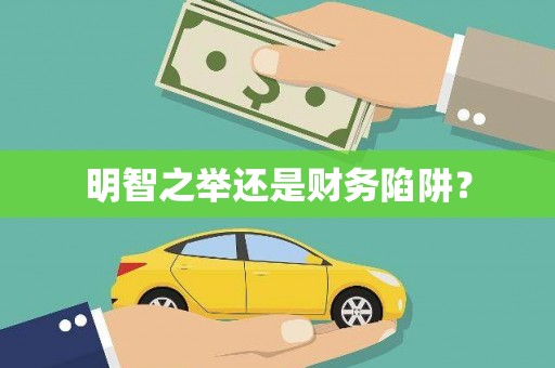 康县明智之举还是财务陷阱？