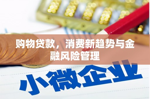 康县购物贷款，消费新趋势与金融风险管理