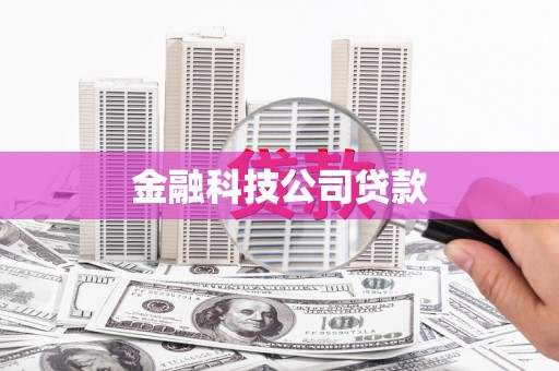 康县金融科技公司贷款