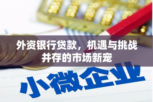 康县外资银行贷款，机遇与挑战并存的市场新宠