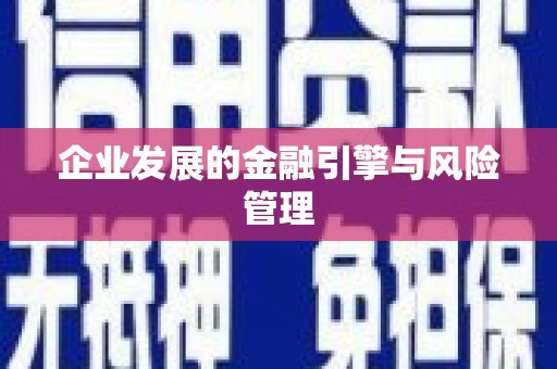 康县企业发展的金融引擎与风险管理