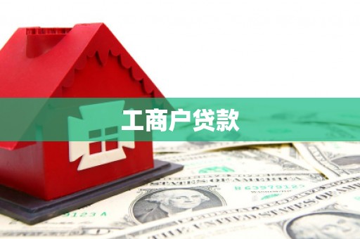 康县工商户贷款