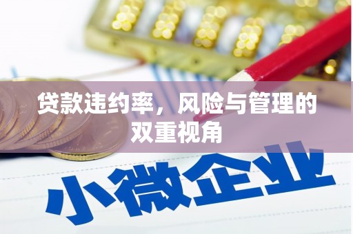 康县贷款违约率，风险与管理的双重视角