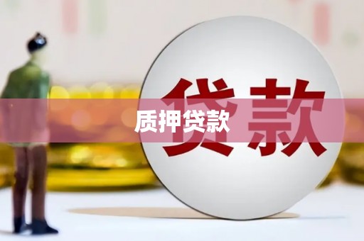 康县质押贷款