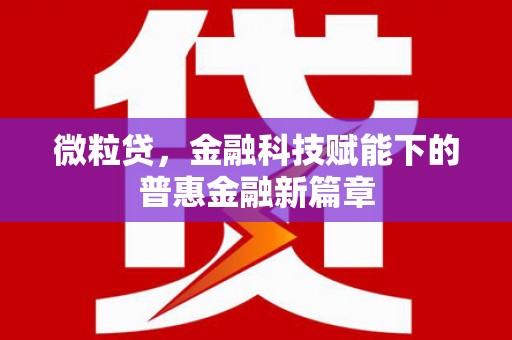 康县微粒贷，金融科技赋能下的普惠金融新篇章