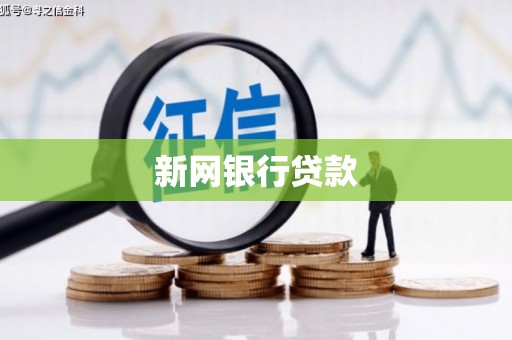 康县新网银行贷款