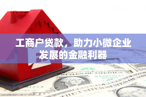 康县工商户贷款，助力小微企业发展的金融利器