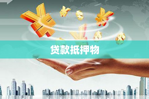 康县贷款抵押物