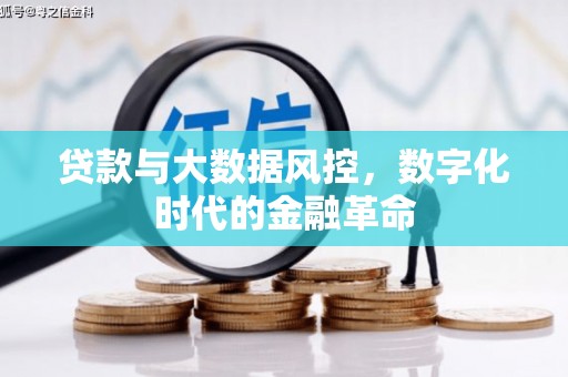康县贷款与大数据风控，数字化时代的金融革命