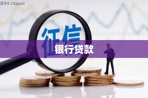 康县银行贷款
