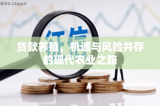 康县贷款养殖，机遇与风险并存的现代农业之路