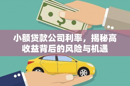 康县小额贷款公司利率，揭秘高收益背后的风险与机遇