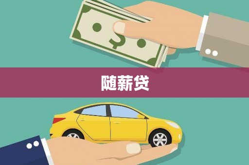 康县随薪贷