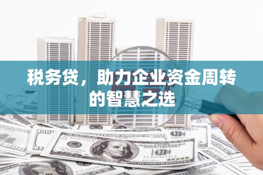 康县税务贷，助力企业资金周转的智慧之选