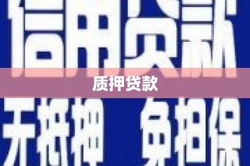 康县质押贷款