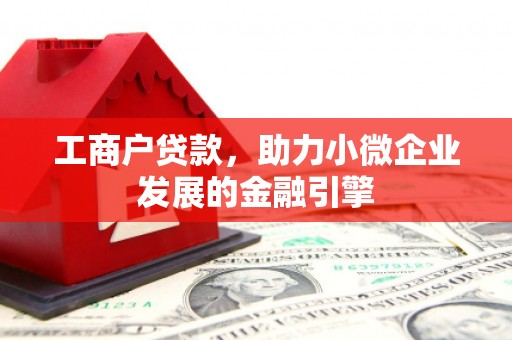 康县工商户贷款，助力小微企业发展的金融引擎