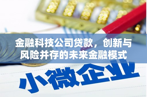康县金融科技公司贷款，创新与风险并存的未来金融模式