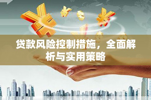 康县贷款风险控制措施，全面解析与实用策略