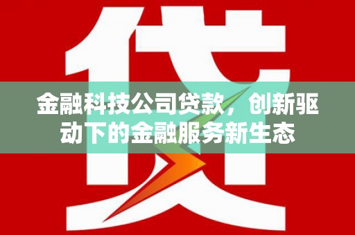康县金融科技公司贷款，创新驱动下的金融服务新生态
