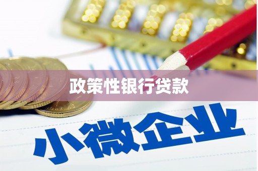 康县政策性银行贷款