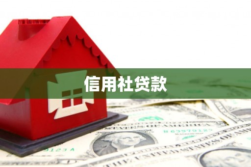 康县信用社贷款