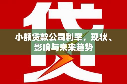 康县小额贷款公司利率，现状、影响与未来趋势