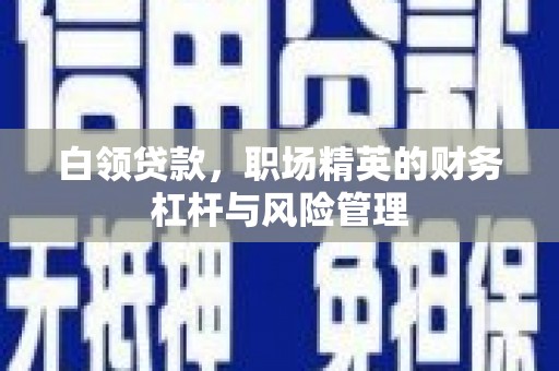 康县白领贷款，职场精英的财务杠杆与风险管理