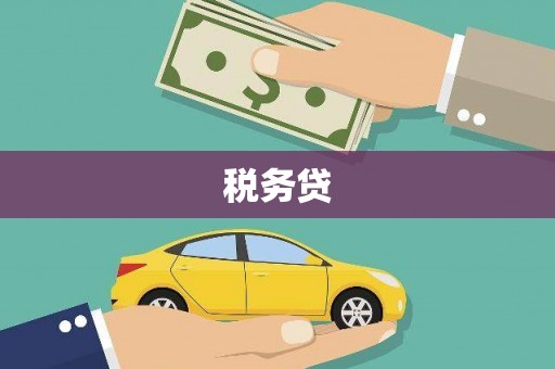 康县税务贷