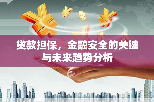 康县贷款担保，金融安全的关键与未来趋势分析