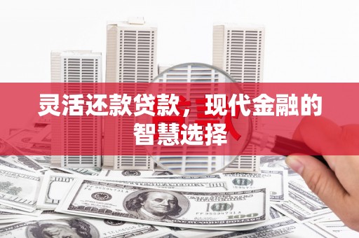 康县灵活还款贷款，现代金融的智慧选择