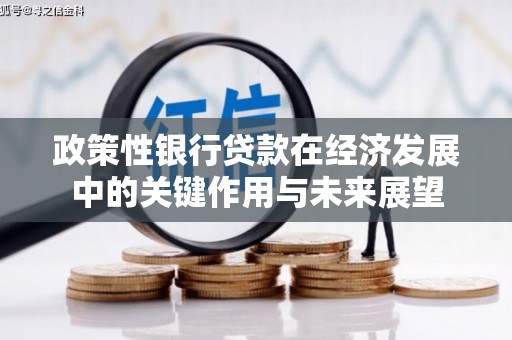 康县政策性银行贷款在经济发展中的关键作用与未来展望