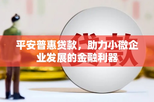康县平安普惠贷款，助力小微企业发展的金融利器