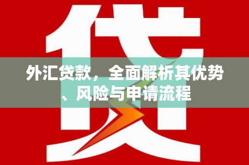 康县外汇贷款，全面解析其优势、风险与申请流程
