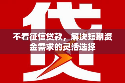 康县不看征信贷款，解决短期资金需求的灵活选择