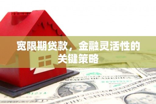 康县宽限期贷款，金融灵活性的关键策略