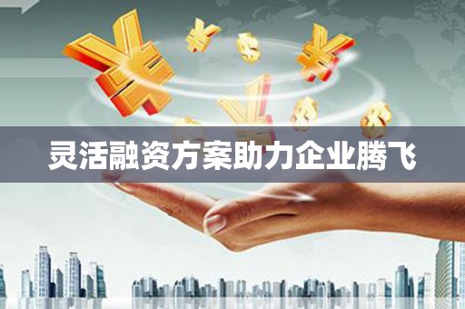 康县灵活融资方案助力企业腾飞