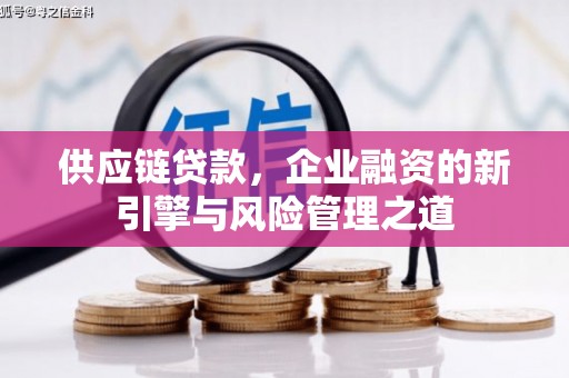 康县供应链贷款，企业融资的新引擎与风险管理之道