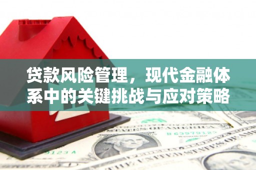 康县贷款风险管理，现代金融体系中的关键挑战与应对策略