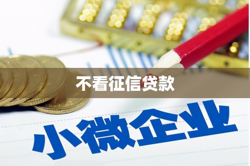 康县不看征信贷款