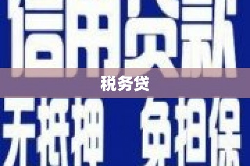 康县税务贷
