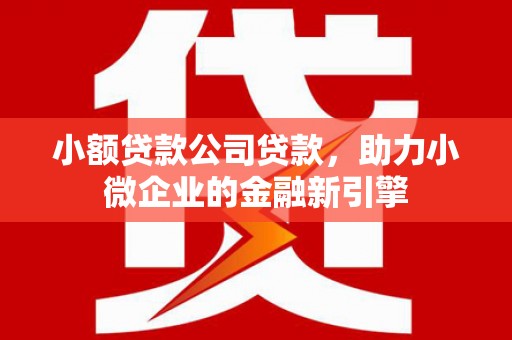 康县小额贷款公司贷款，助力小微企业的金融新引擎