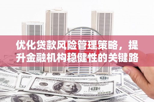 康县优化贷款风险管理策略，提升金融机构稳健性的关键路径