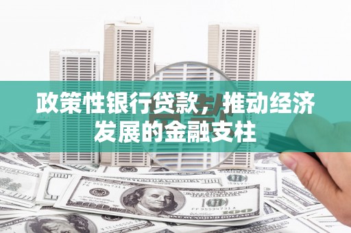 康县政策性银行贷款，推动经济发展的金融支柱