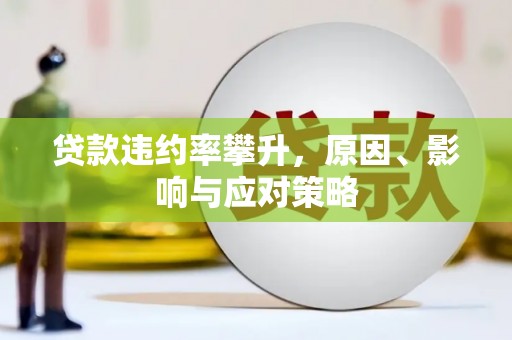 康县贷款违约率攀升，原因、影响与应对策略