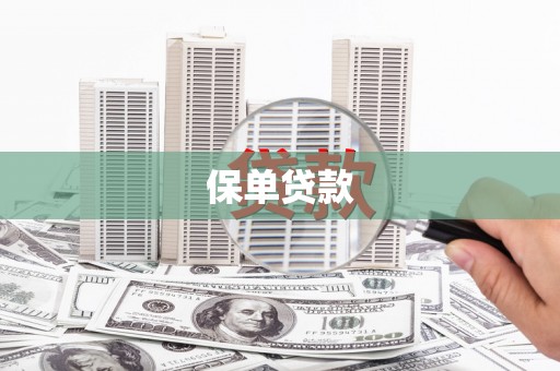 康县保单贷款