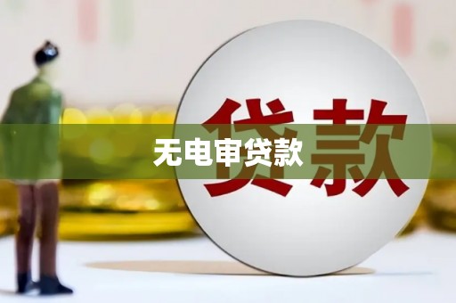 康县无电审贷款