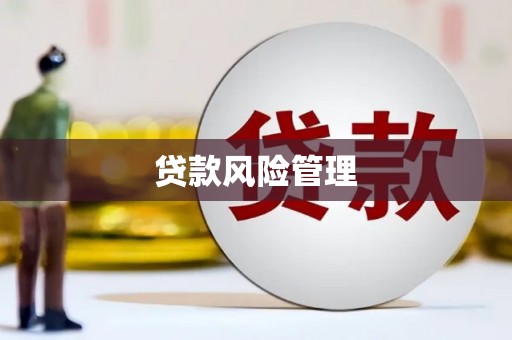 康县贷款风险管理