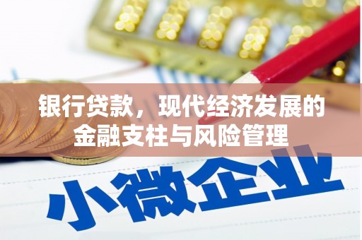 康县银行贷款，现代经济发展的金融支柱与风险管理
